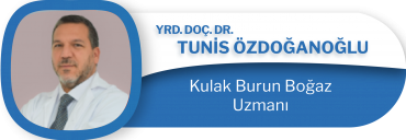 Yrd. Doç. Dr. Tunis Özdoğanoğlu